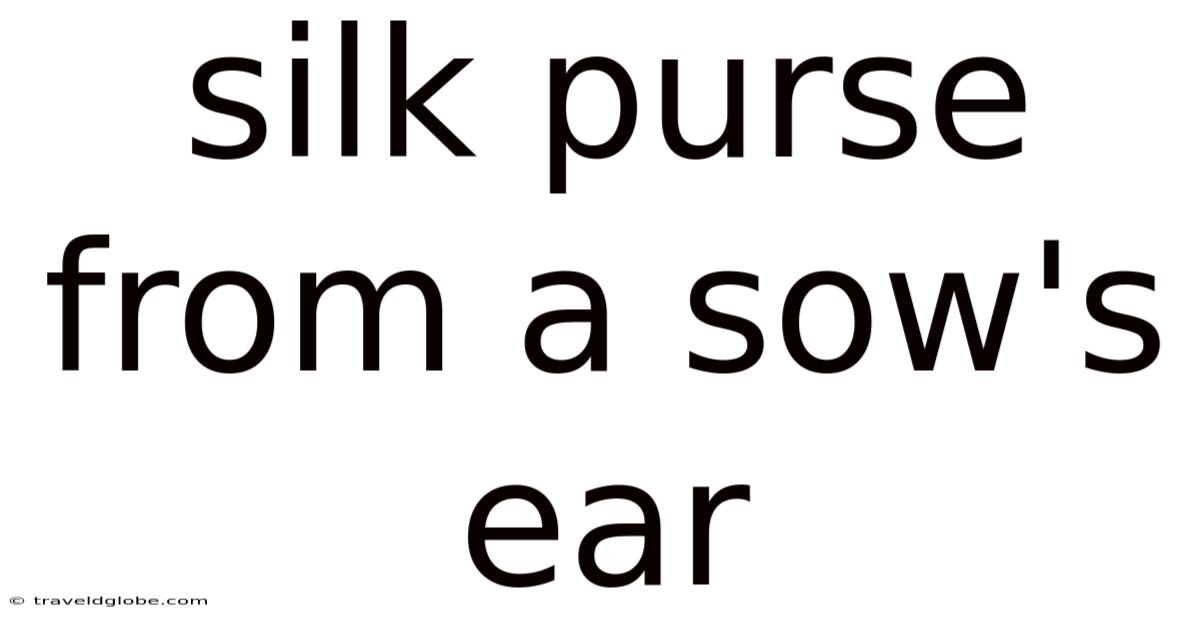 Silk Purse From A Sow's Ear