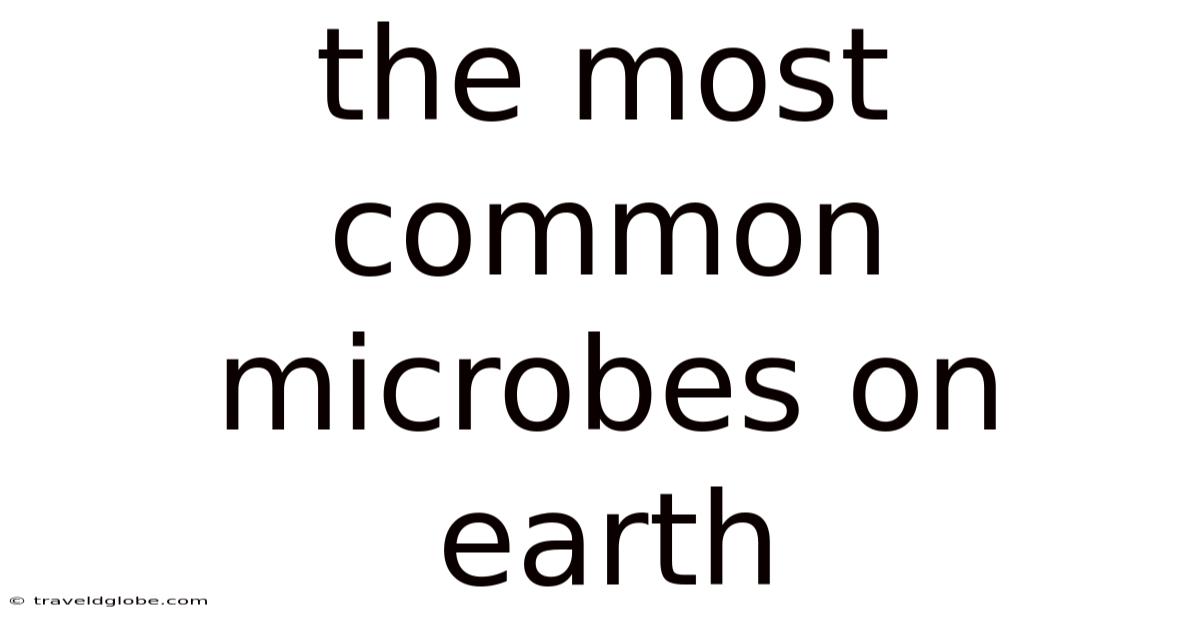 The Most Common Microbes On Earth