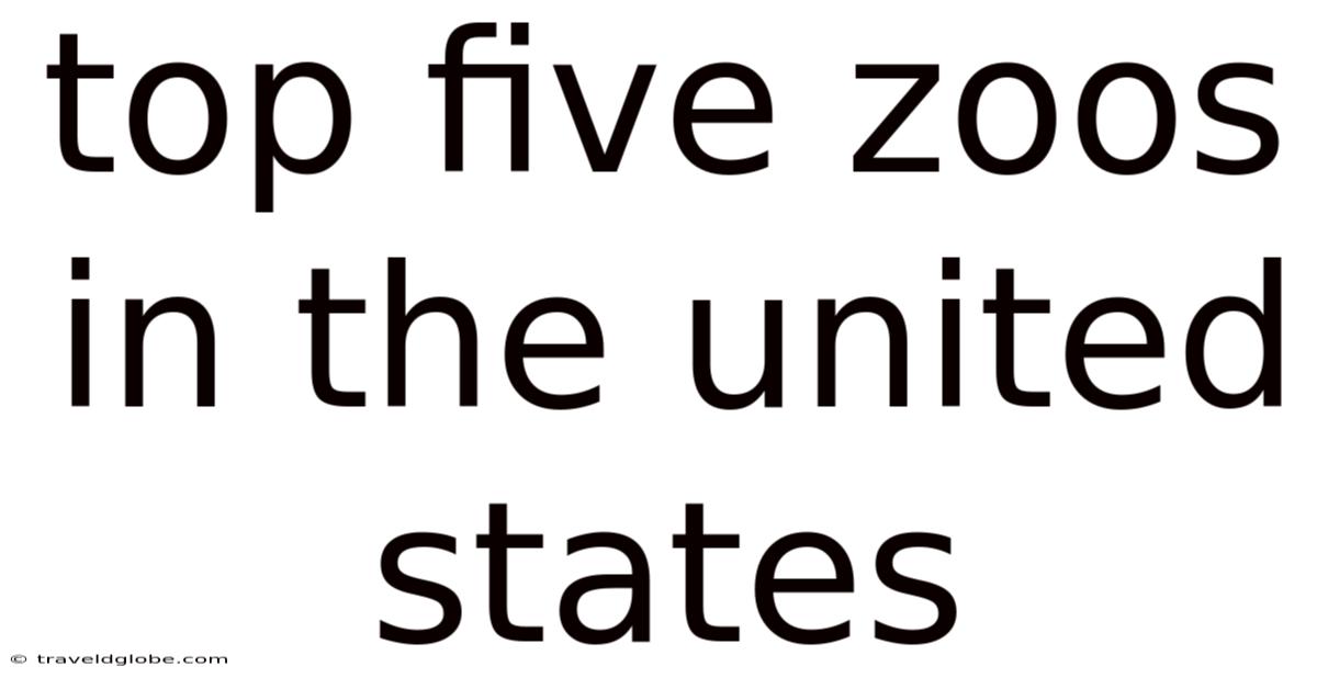 Top Five Zoos In The United States