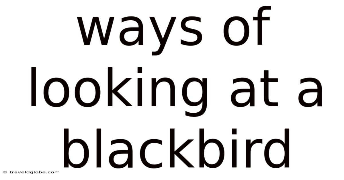 Ways Of Looking At A Blackbird