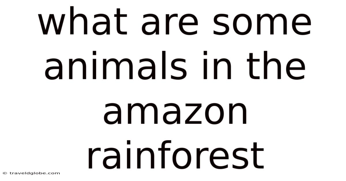 What Are Some Animals In The Amazon Rainforest
