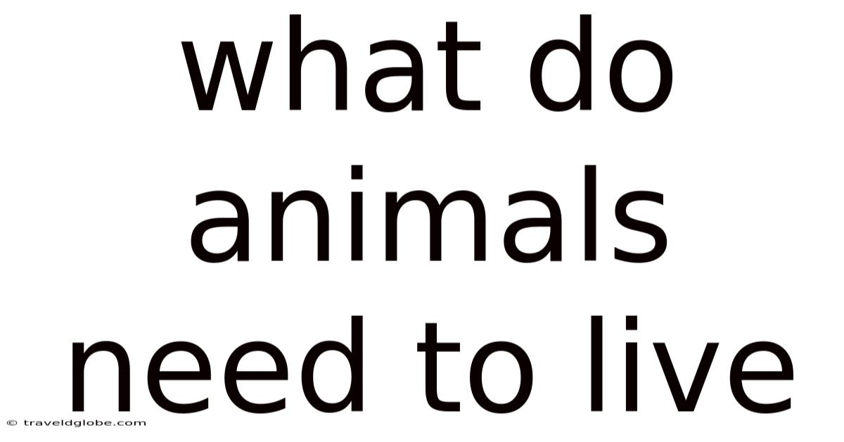 What Do Animals Need To Live