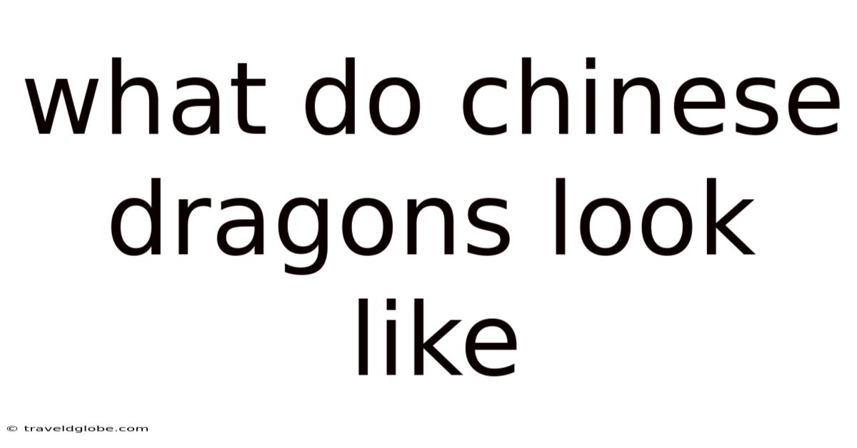 What Do Chinese Dragons Look Like