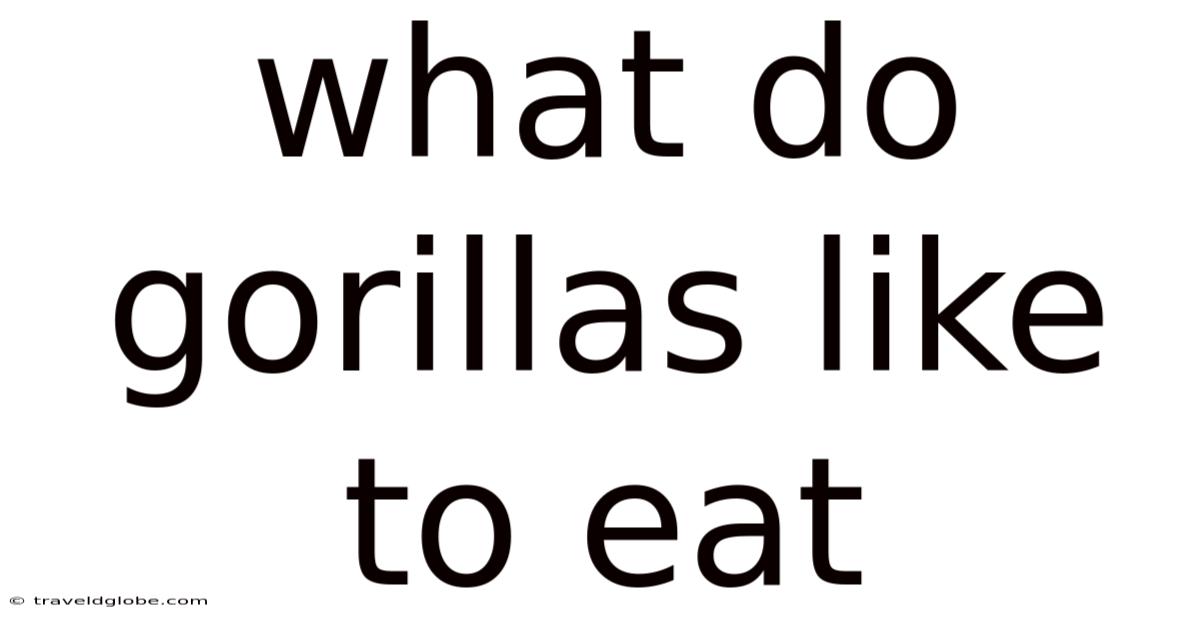 What Do Gorillas Like To Eat