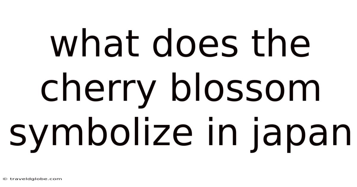 What Does The Cherry Blossom Symbolize In Japan