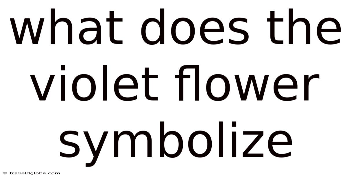 What Does The Violet Flower Symbolize