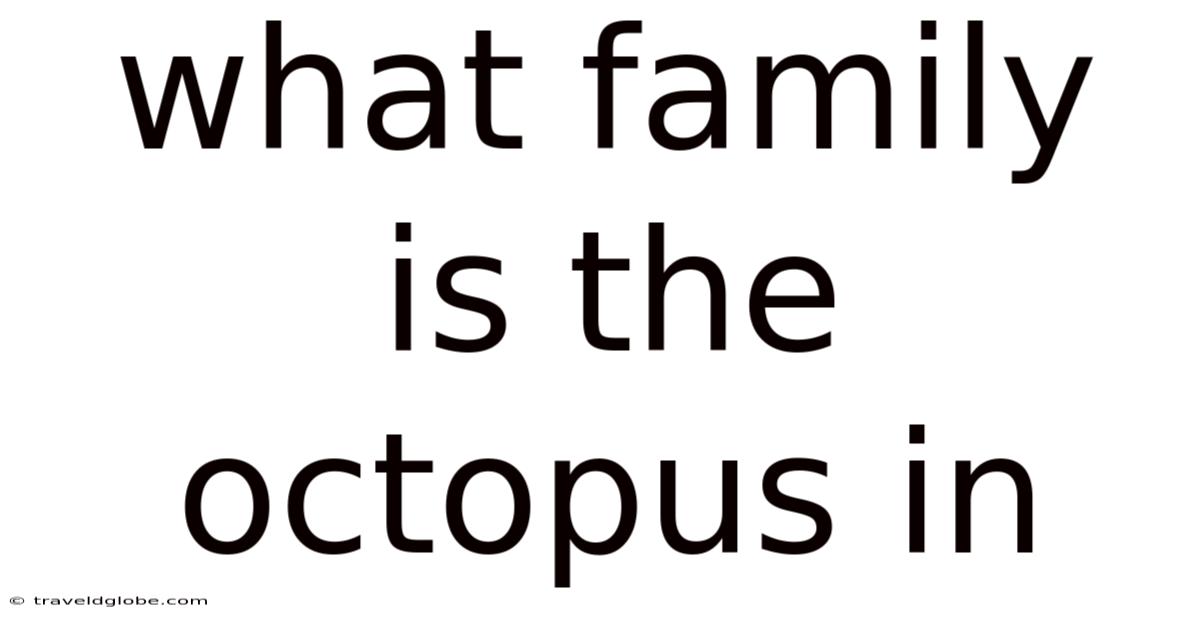 What Family Is The Octopus In