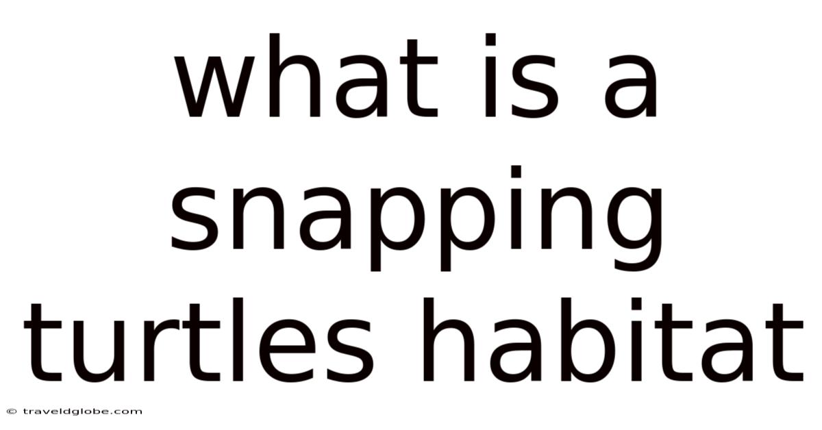 What Is A Snapping Turtles Habitat