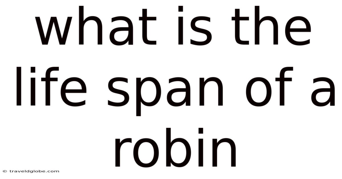 What Is The Life Span Of A Robin