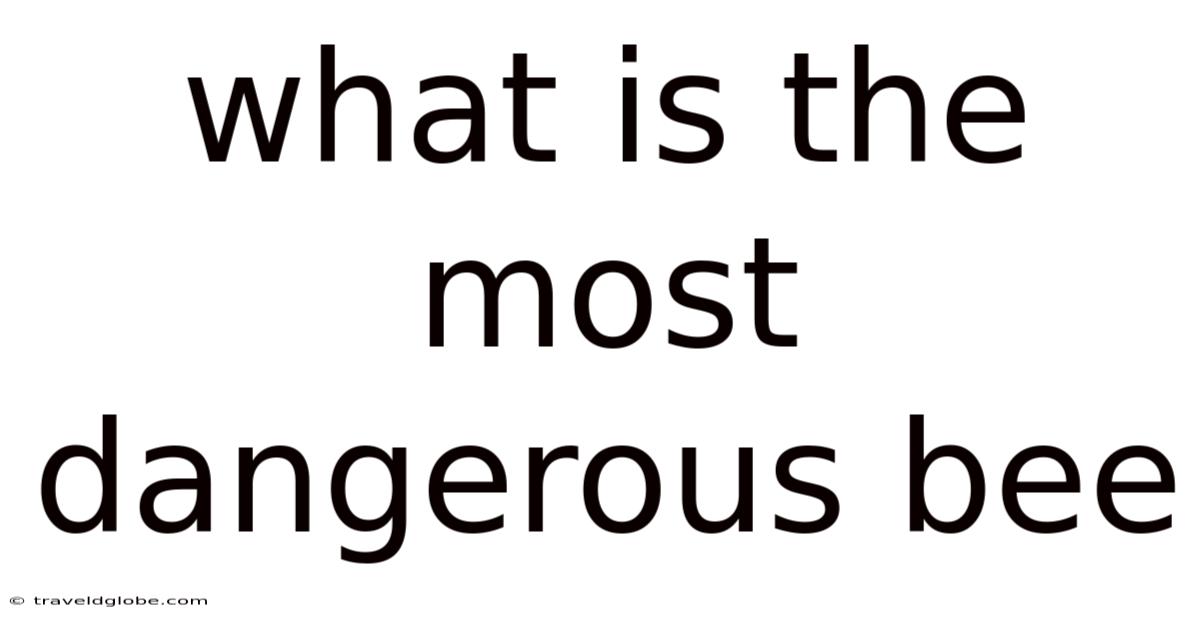 What Is The Most Dangerous Bee