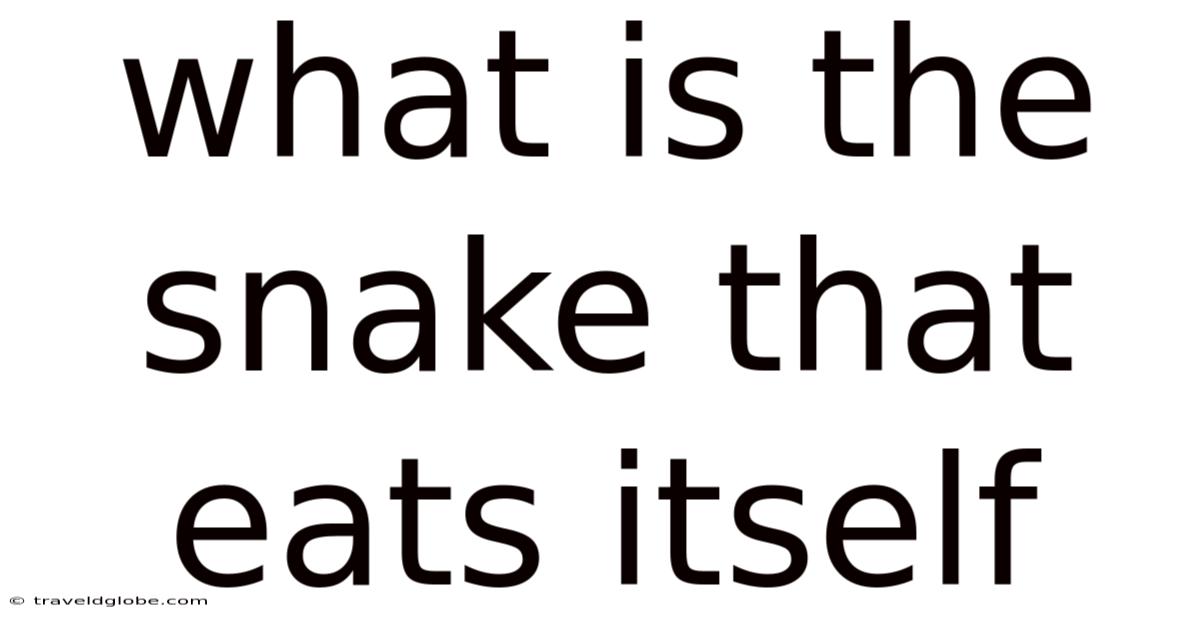 What Is The Snake That Eats Itself