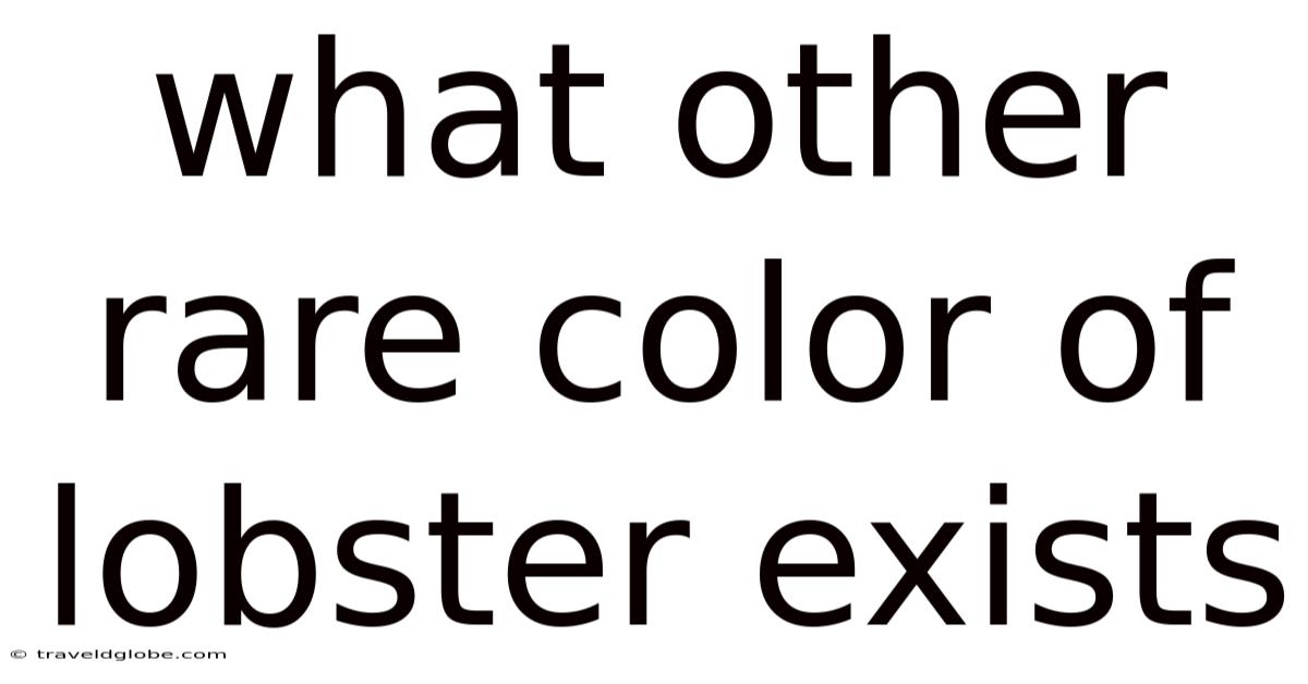 What Other Rare Color Of Lobster Exists