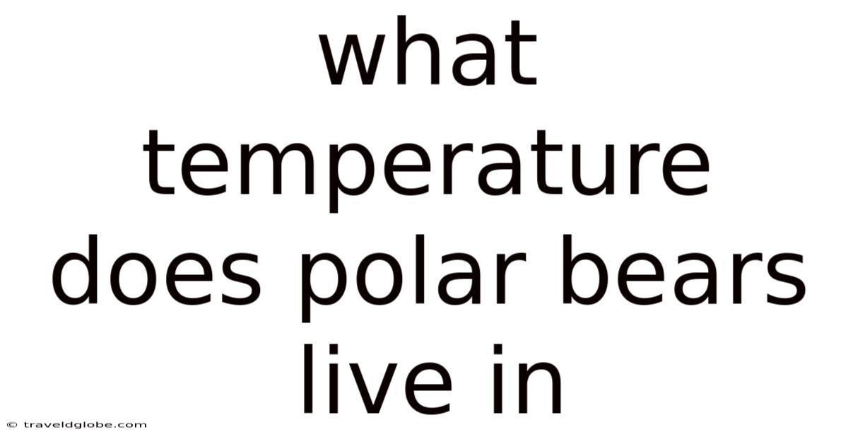 What Temperature Does Polar Bears Live In