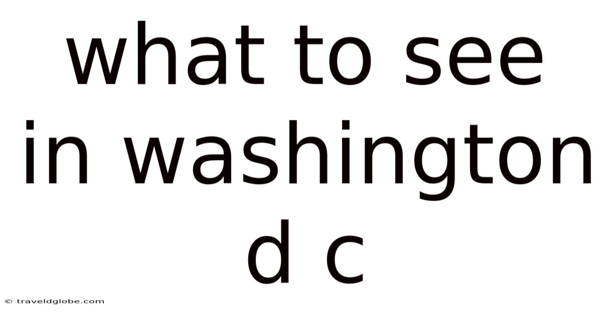 What To See In Washington D C