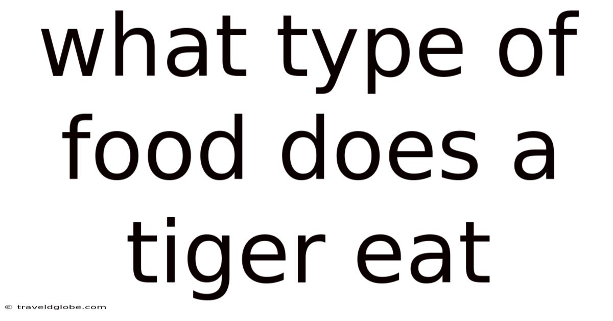 What Type Of Food Does A Tiger Eat