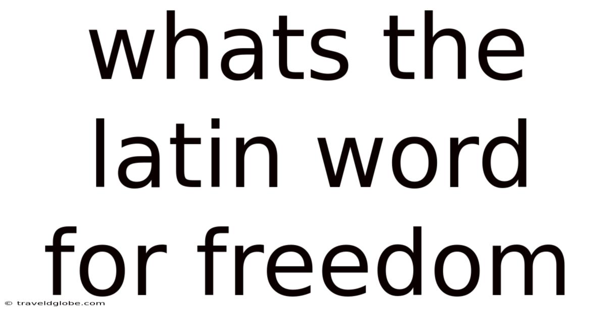 Whats The Latin Word For Freedom
