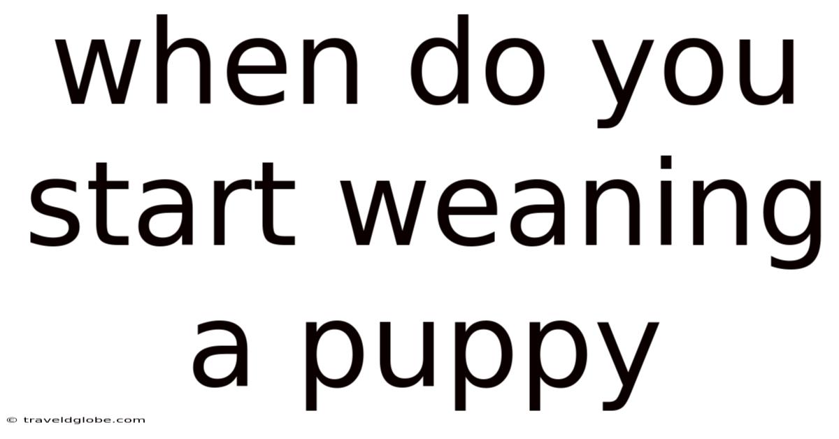 When Do You Start Weaning A Puppy