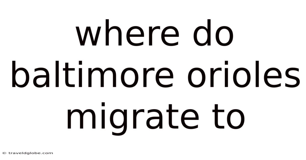 Where Do Baltimore Orioles Migrate To