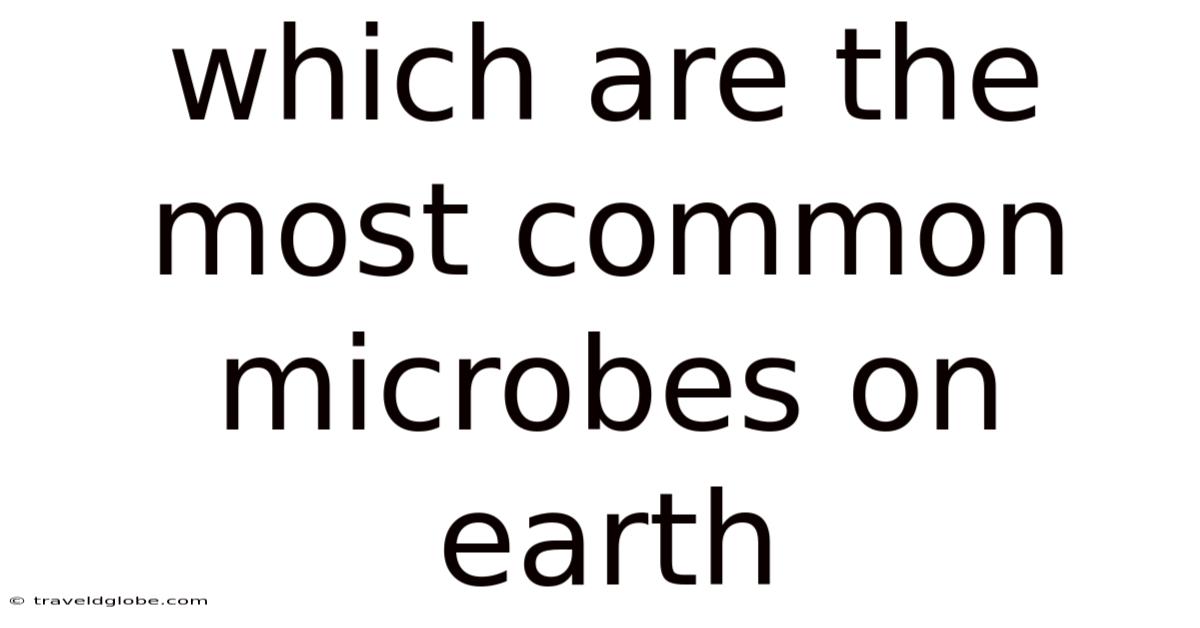 Which Are The Most Common Microbes On Earth