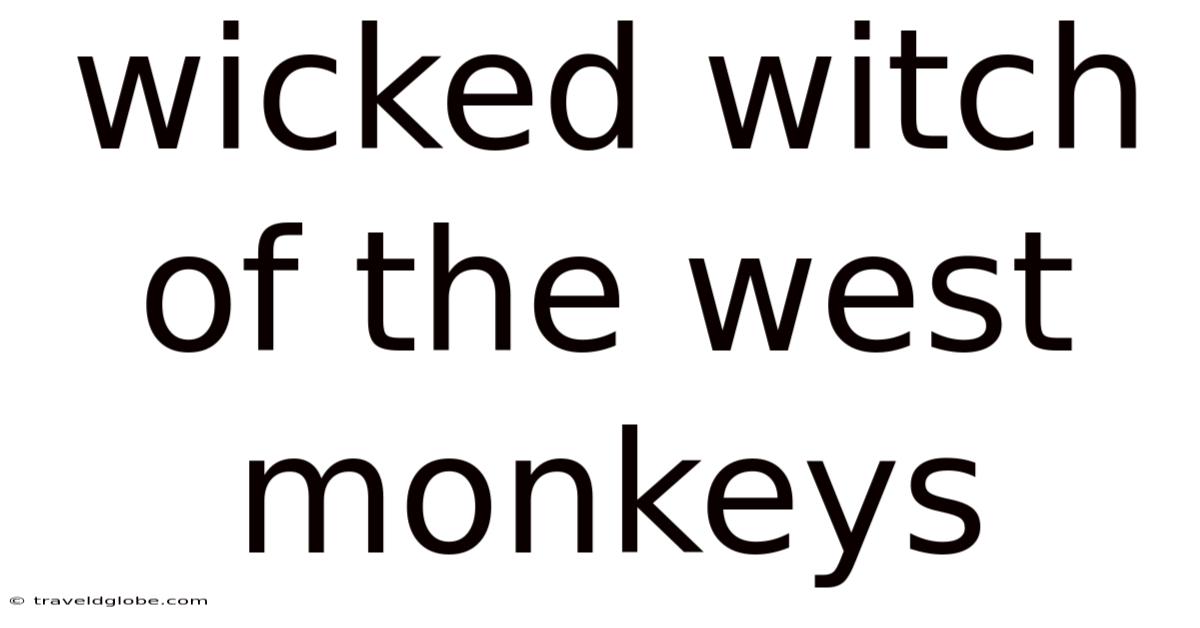 Wicked Witch Of The West Monkeys